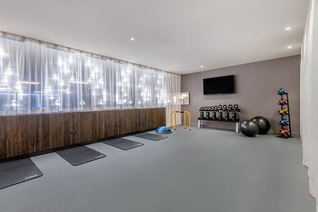 mh_vieat_health-club_workout-area-small.jpg